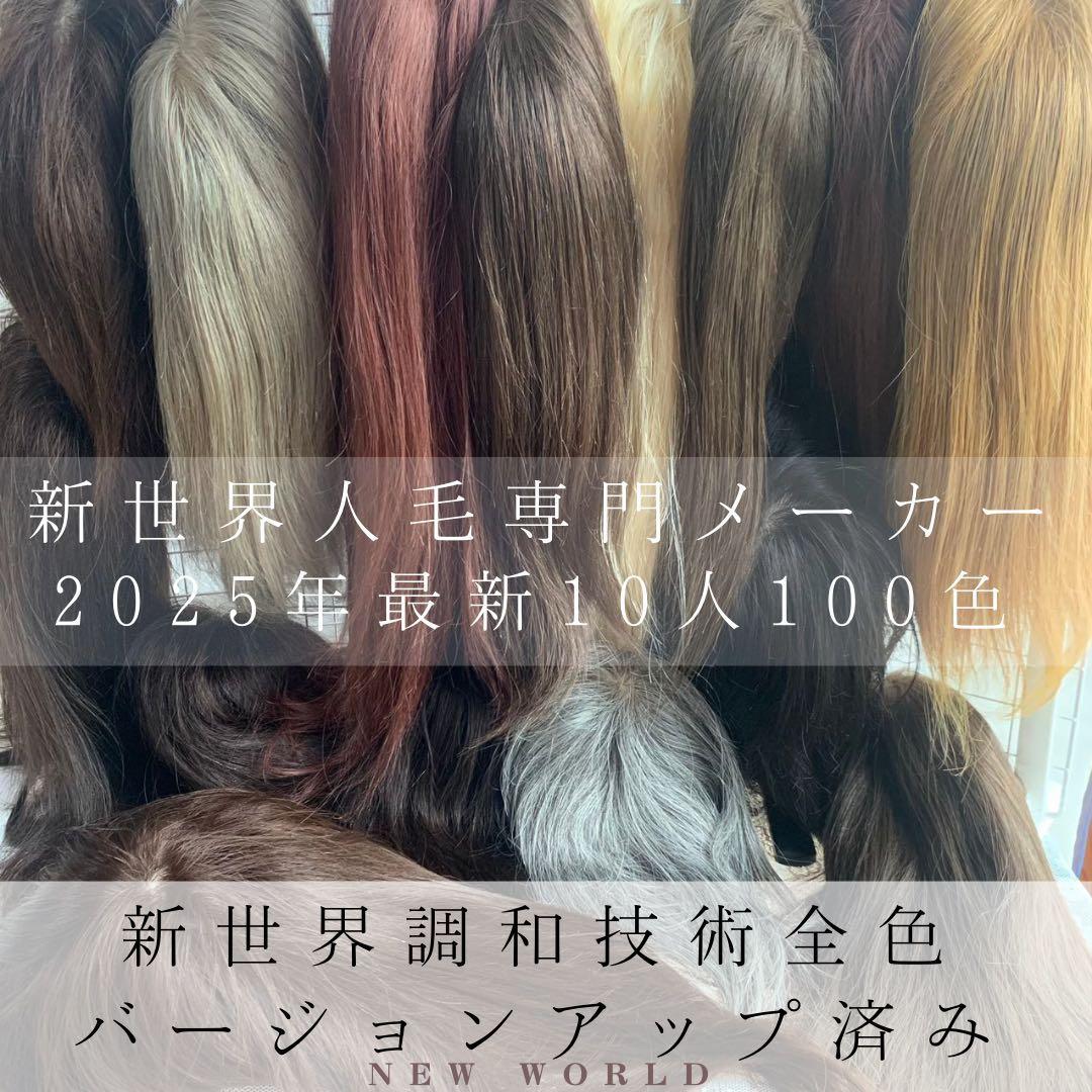 2025新世界 人毛100% フルウィッグ シルクスキン 医療ウィッグ ブラック